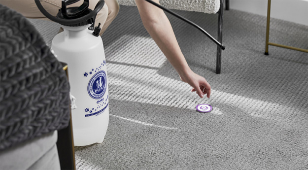technician cleans pet urine stain on carpet